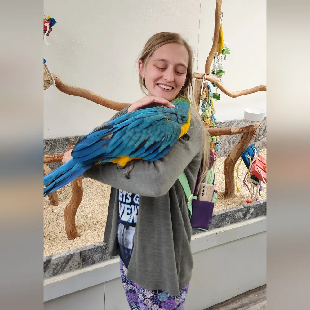 ✨💎✨Luxury Sparkle is Live! ✨💎✨ - Picture 9 of 17